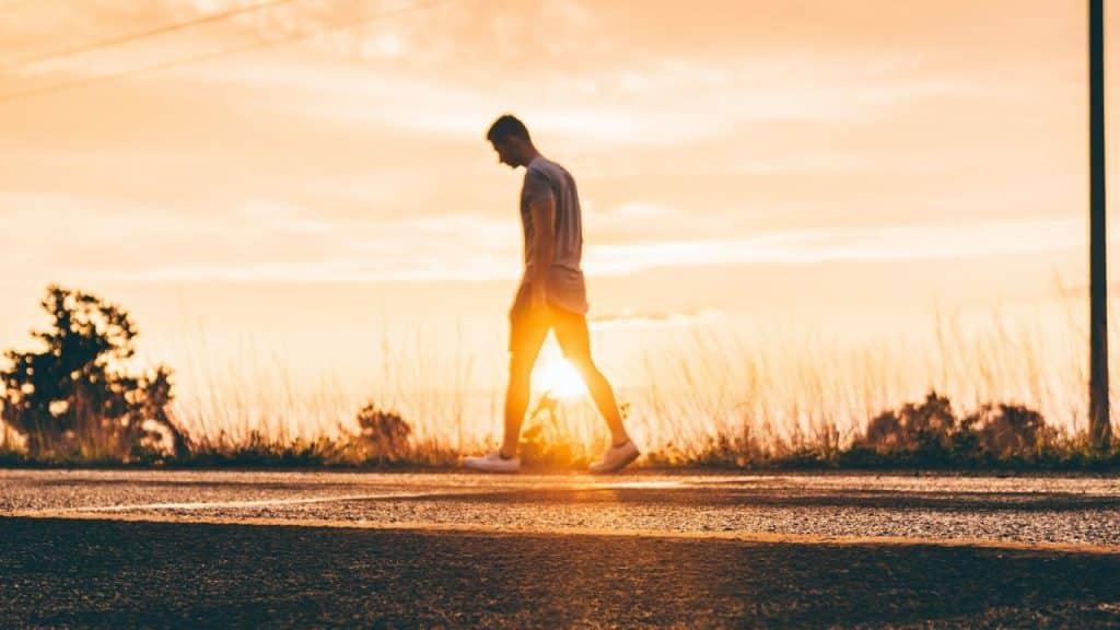A person walks on a road at sunset, with tall grass and trees in the background.