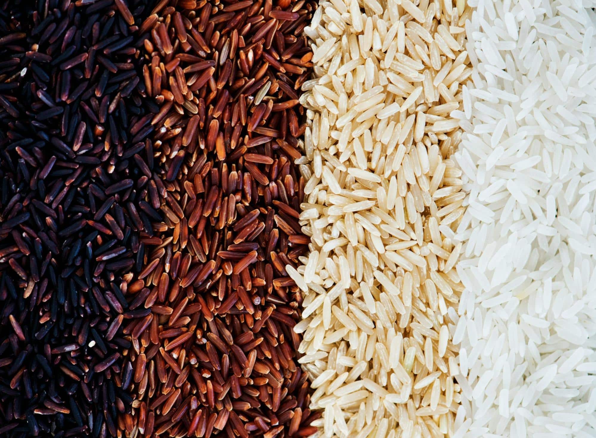 A picture of a wild rice.