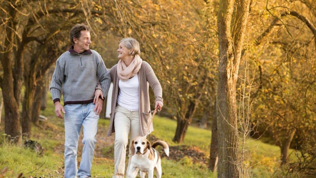 An older couple walking their dog through an autumn orchard.
