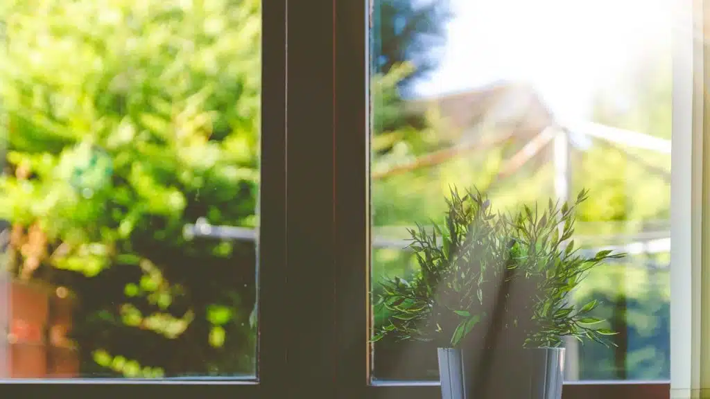 A potted plant on a sunlit windowsill overlooking a green garden.