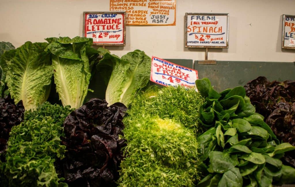 Different kinds of lettuce.