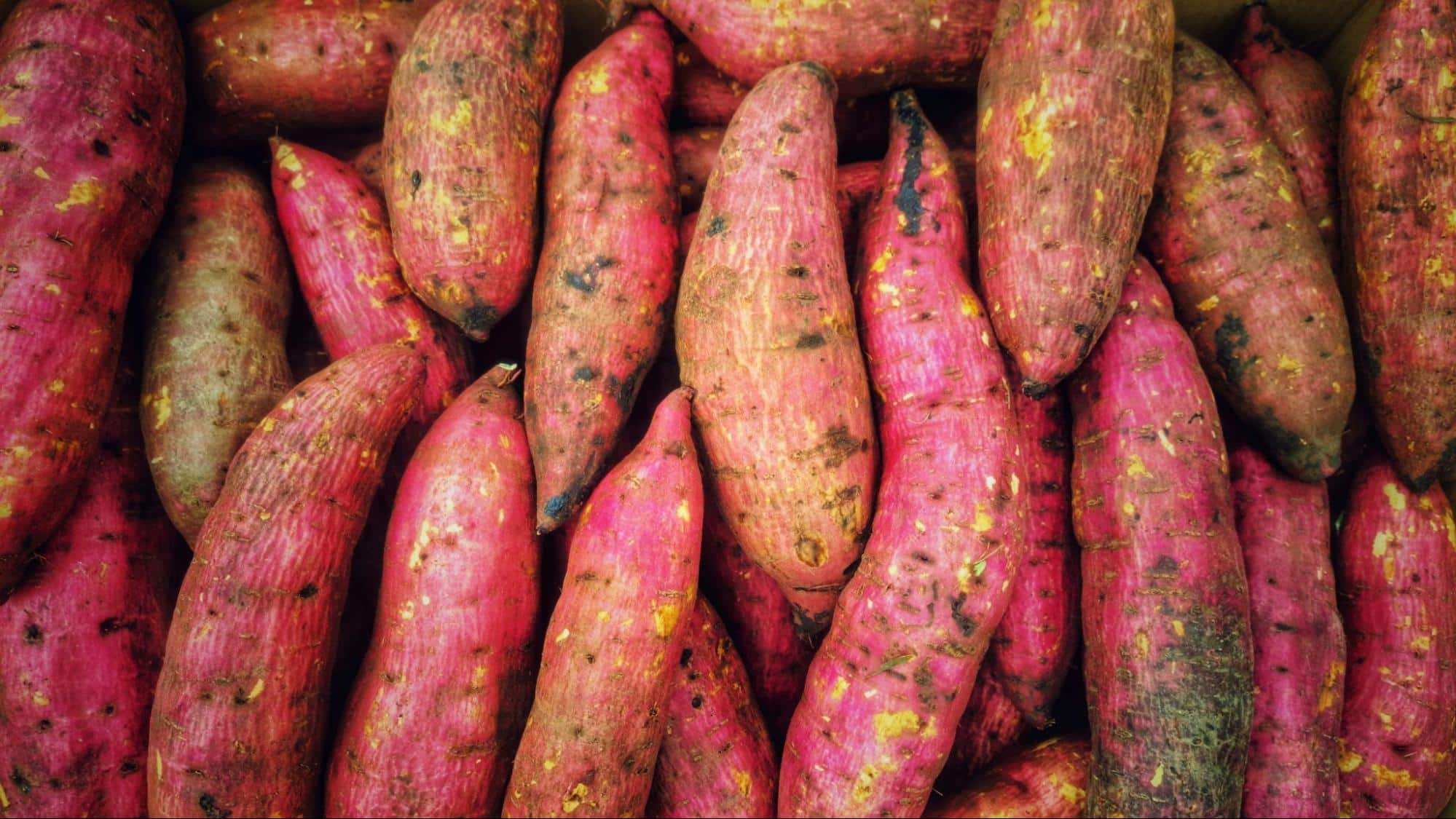 A picture of a sweet potatoes.
