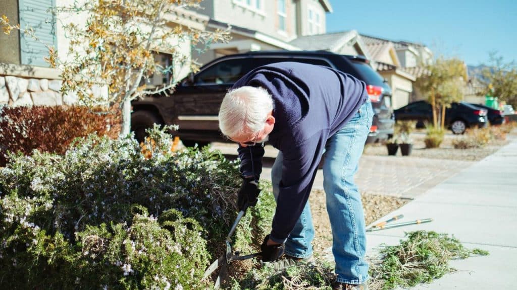 An older man trimming bushes outside his house.