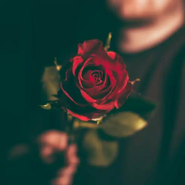 A man holding a rose