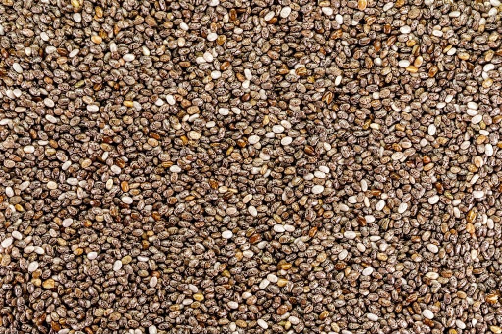 A close-up picture of chia seeds.