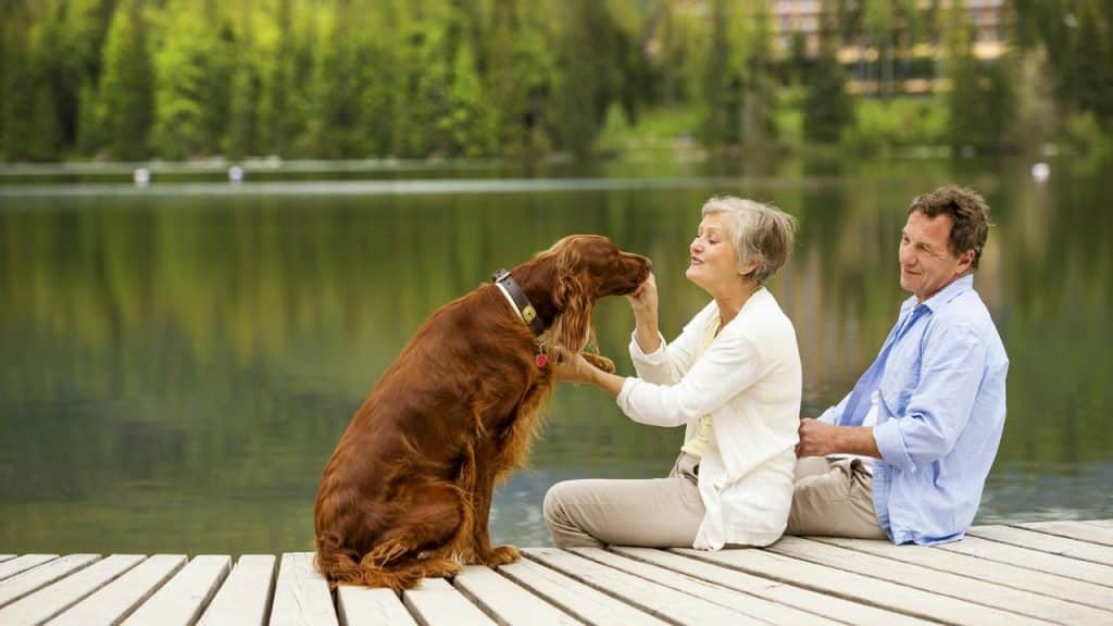A senior couple on a dock by a lake petting their dog.