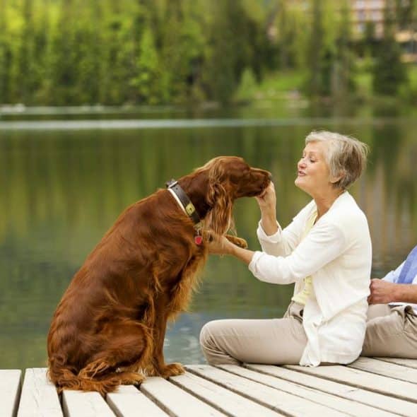 A senior couple on a dock by a lake petting their dog.