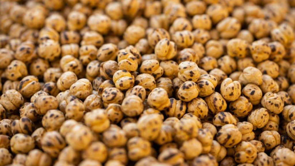 A pile of roasted chickpeas speckled with dark brown spots.