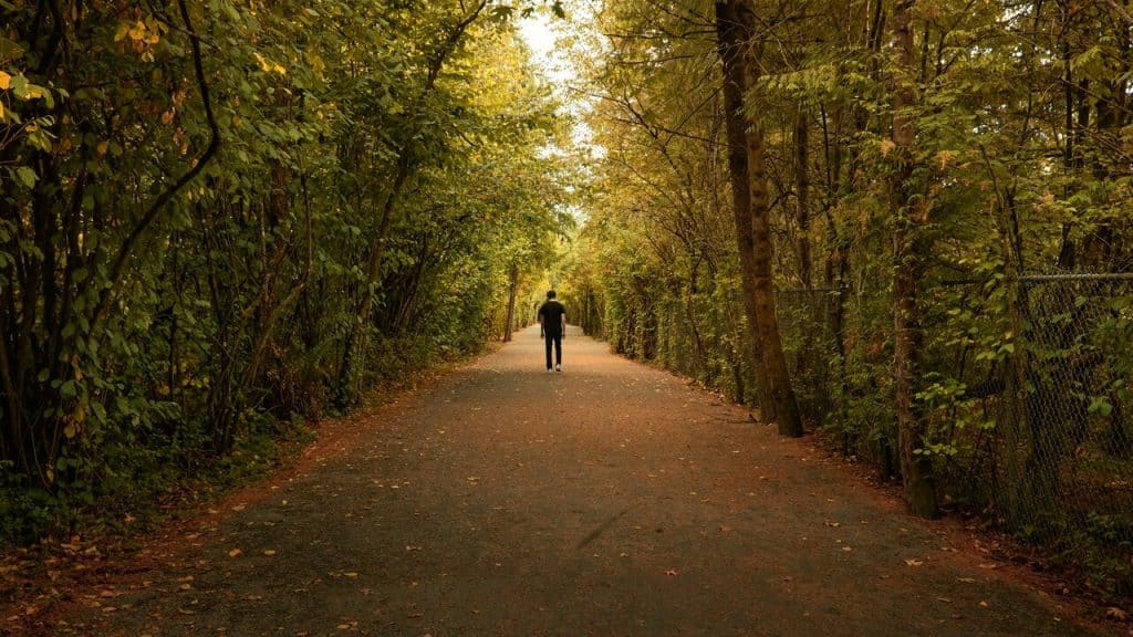 A man walking alone on a pathway