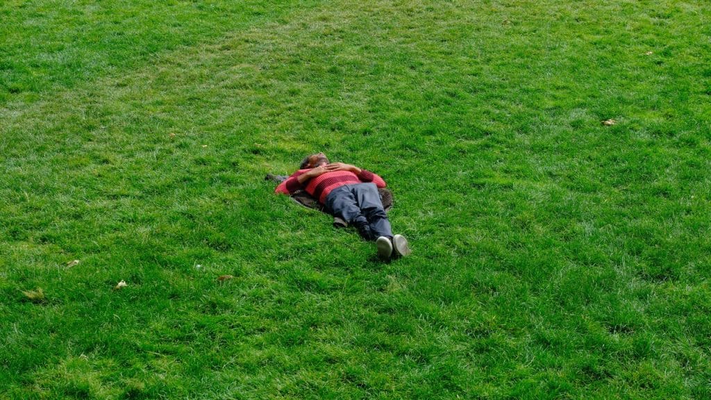 A man laying in the grass