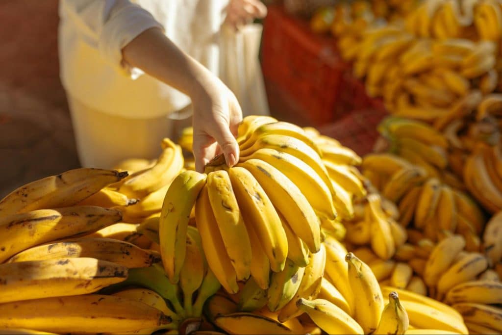 A picture of bananas.