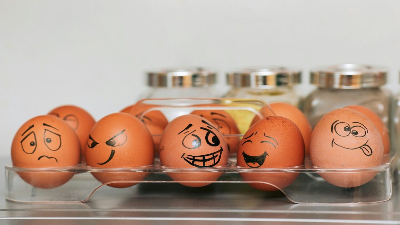 Different emotions drawn on eggs.