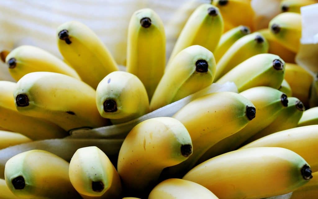 A picture of bananas.