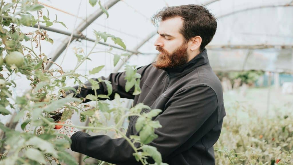 A man gardening in a green house.