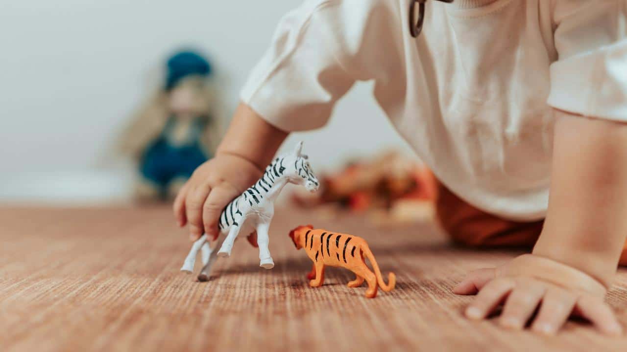 A child playing with toy zebra and tiger figures.