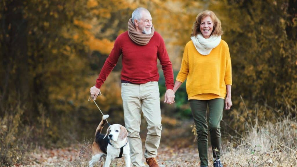 An older couple smiling, holding hands, and walking their dog outdoors.