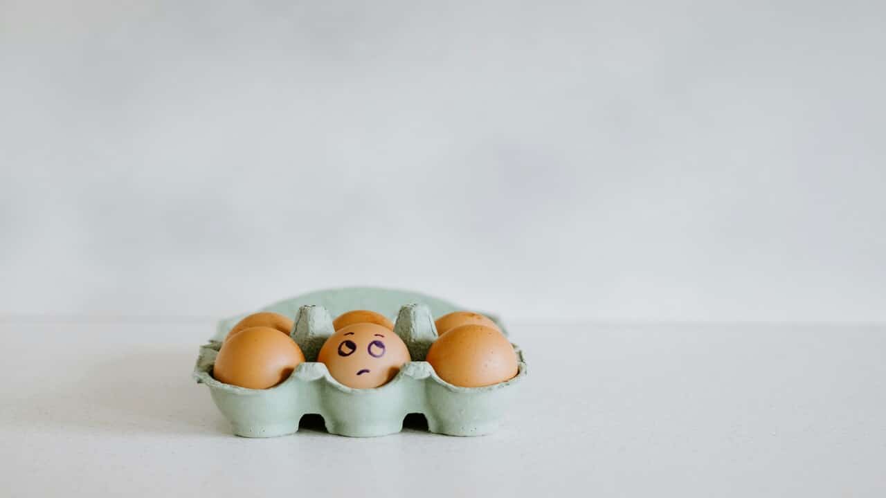 An egg rolling its eyes.