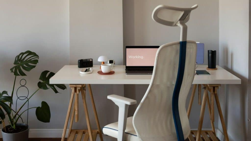 A clean and tidy minimalist desk with a laptop, camera, cup, and plant.