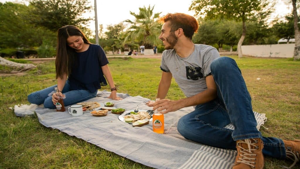 A couple on a casual picnic date