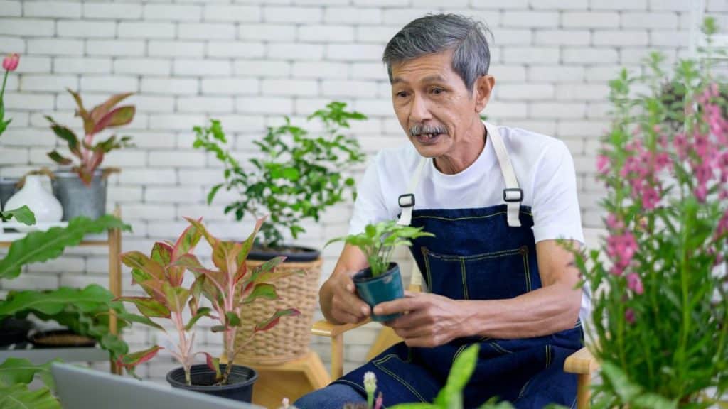 A gray-haired Asian man wearing a denim apron talks on a video call while holding a potted plant.
