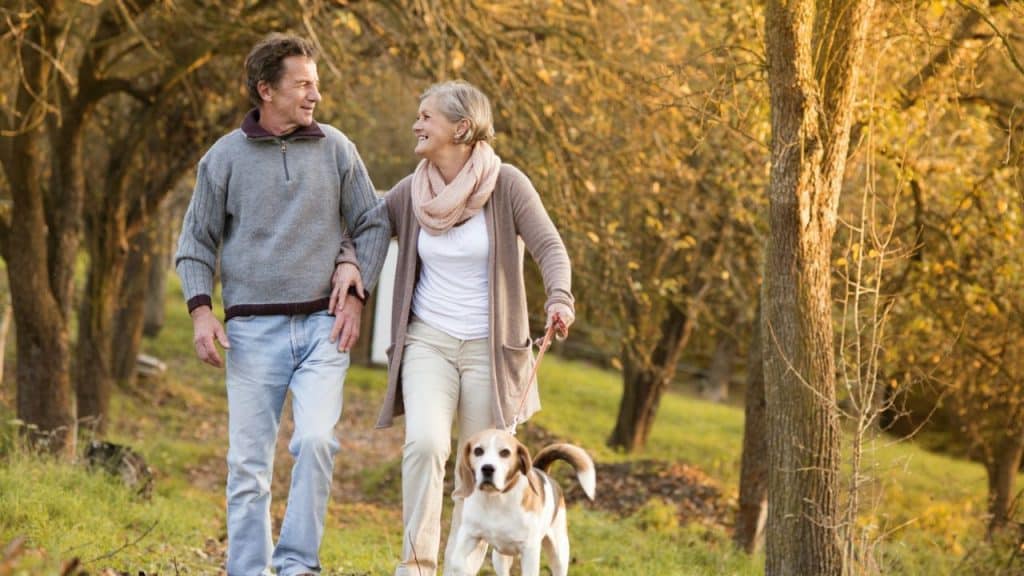 A smiling older couple walks hand in hand with their beagle dog.