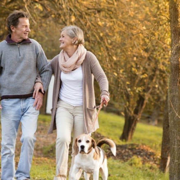 A smiling older couple walks hand in hand with their beagle dog.