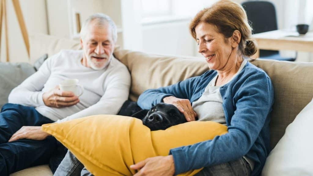 A cheerful elderly couple is sitting on a sofa and petting a black dog.