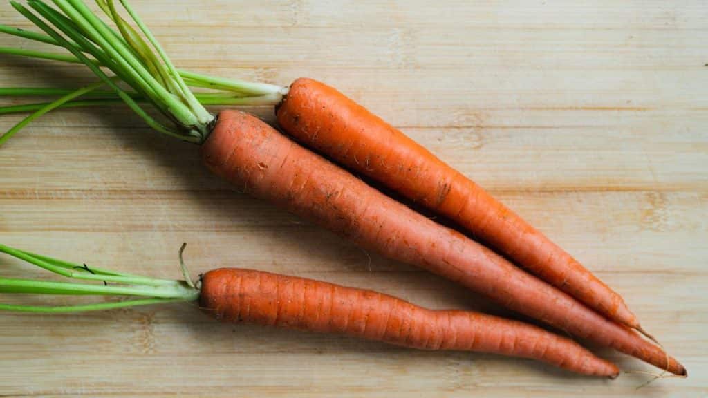A bunch of fresh carrots with green tops.
