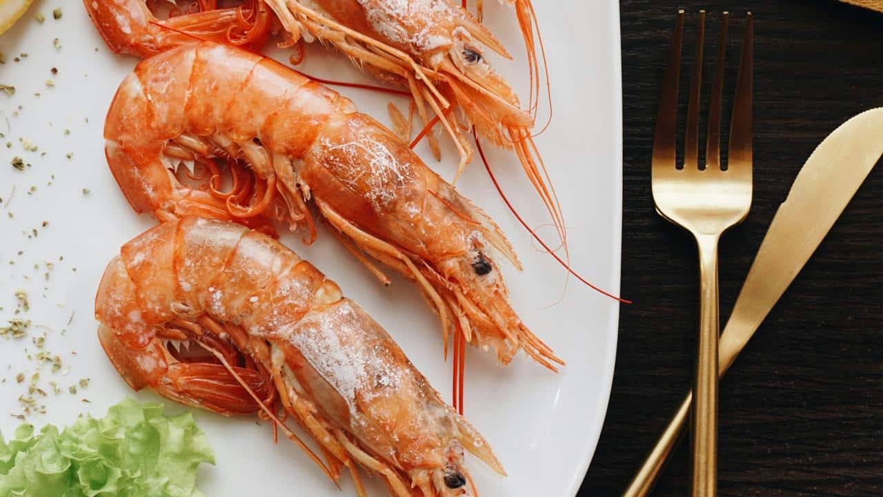 A plate with three cooked shrimp.