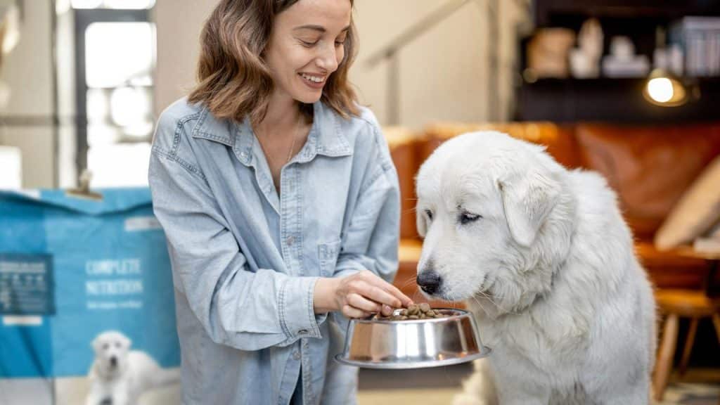 A woman feeding her pet dog with treats from a food bowl.