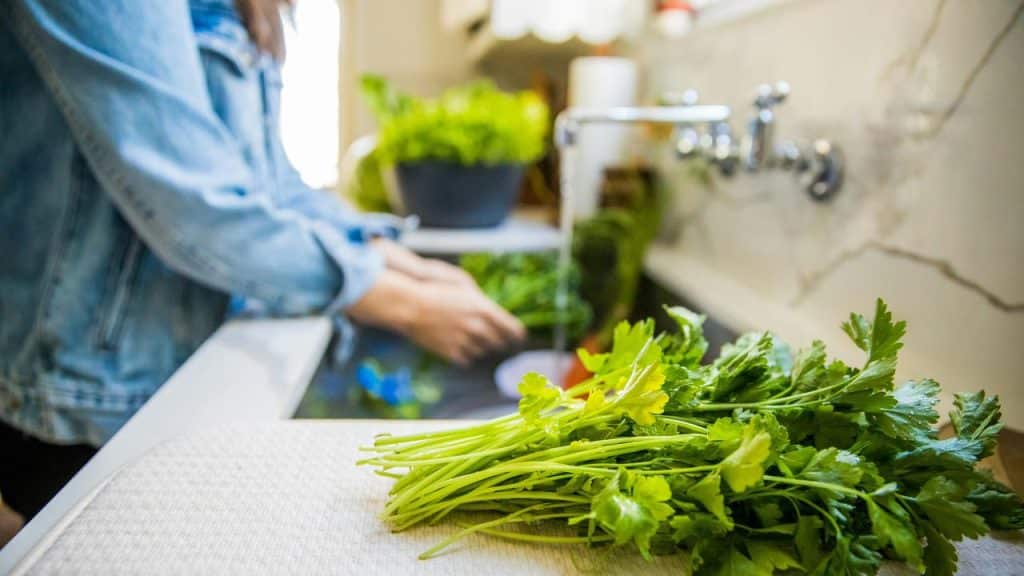 A person washing vegetables in a kitchen sink.