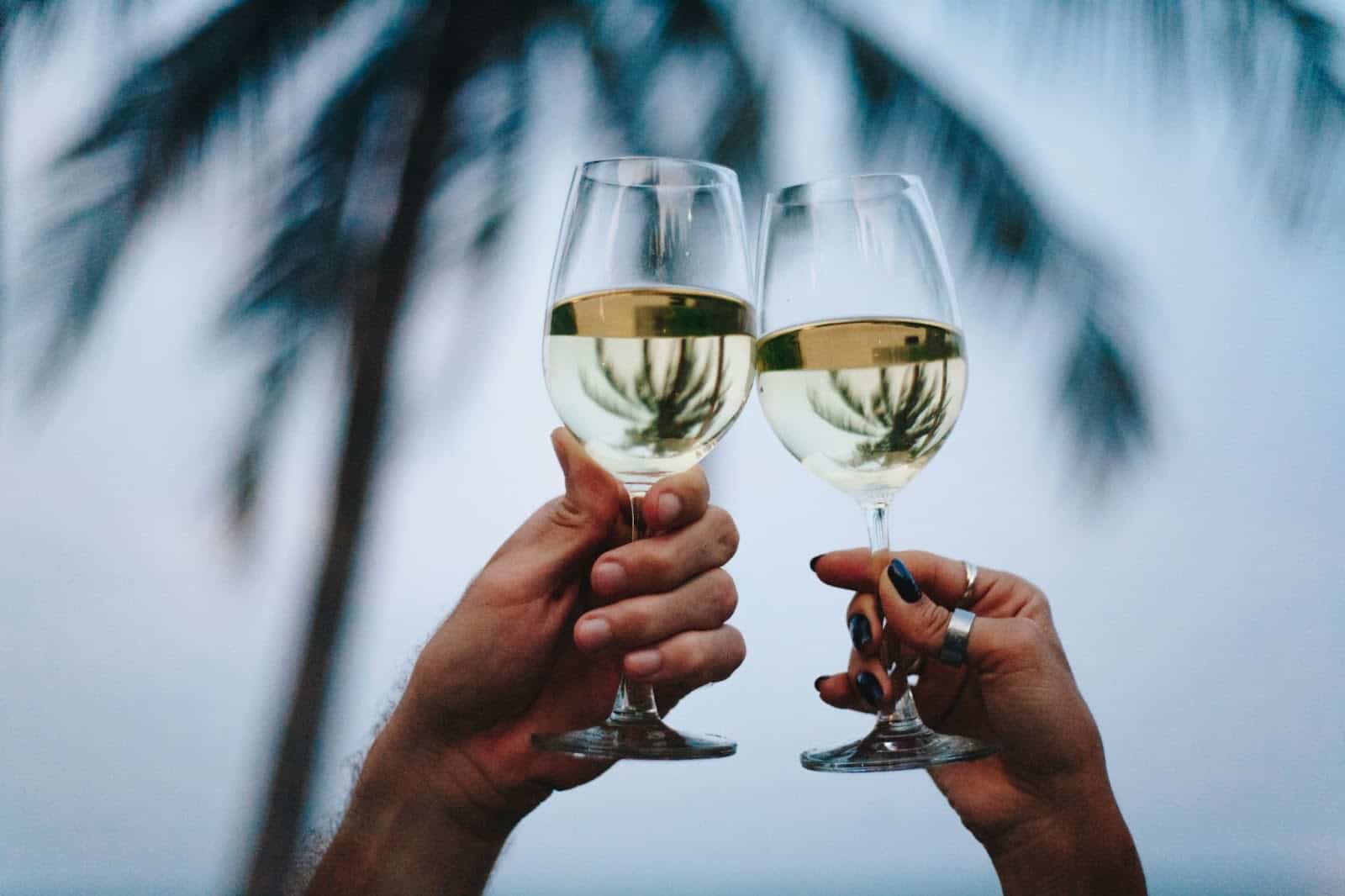 Two person toasting a glass.