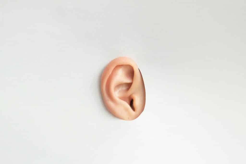 A picture of an ear.