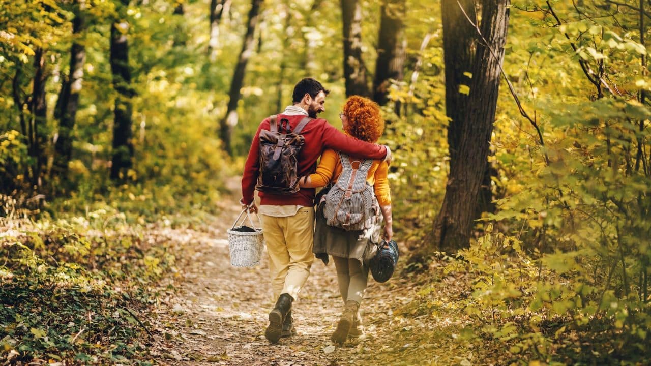 A couple with backpacks and a basket walking on a forest trail.