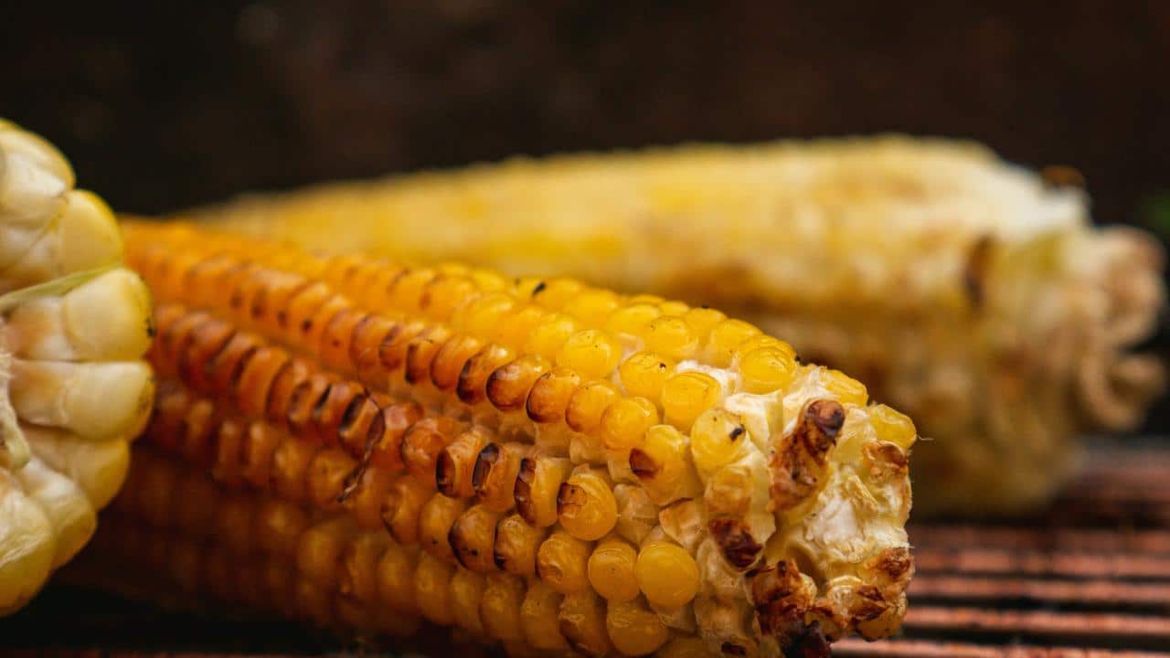 A close-up of grilled corn on the cob.