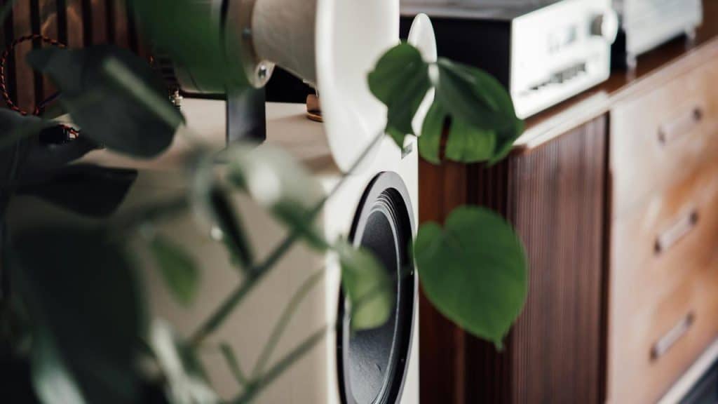 A speaker partially hidden by plant leaves.