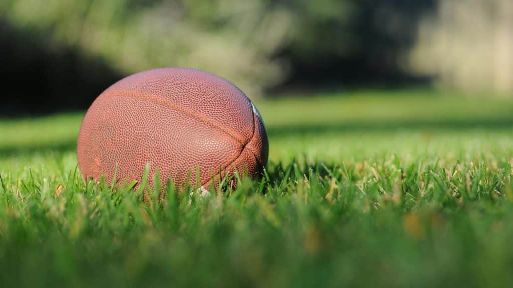A football lying on grass.