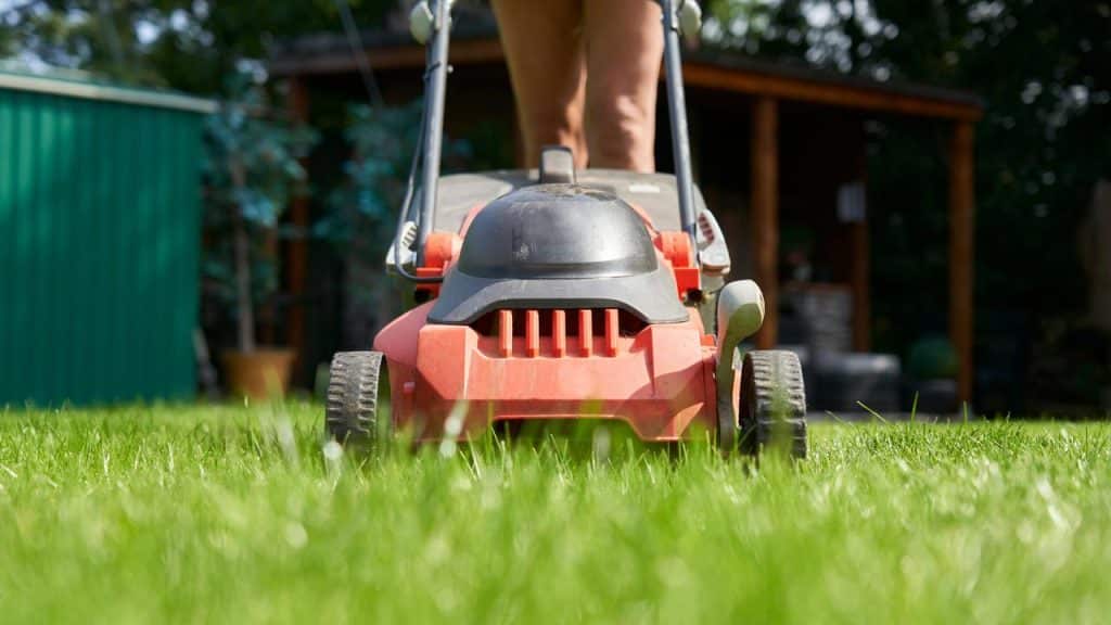 A red lawn mower cutting grass in a backyard.