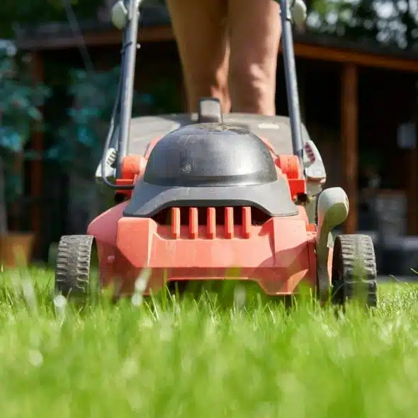 A red lawn mower cutting grass in a backyard.