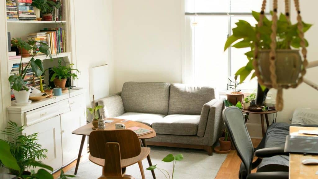 A cozy living room with sofa, bookshelves, and plants.