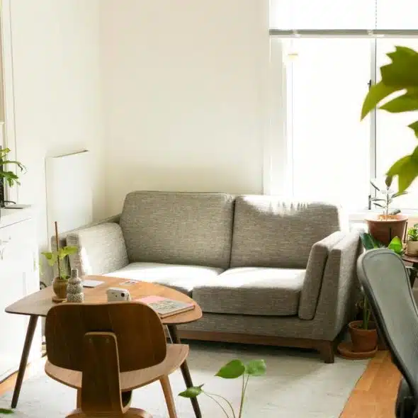 A cozy living room with sofa, bookshelves, and plants.