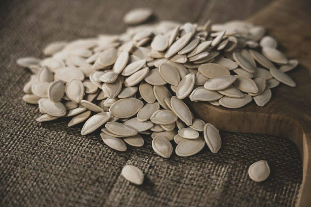 A picture of pumpkin seeds