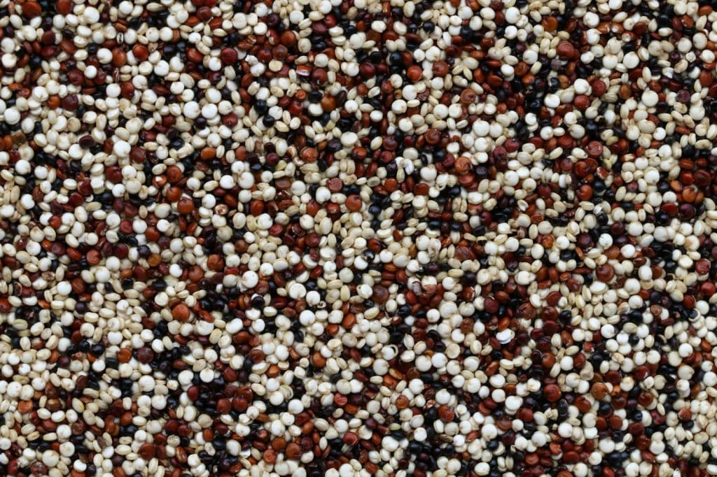 A picture of quinoa