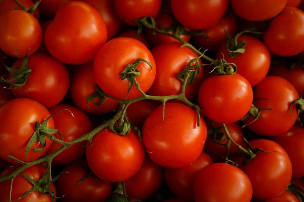 A picture of tomatoes