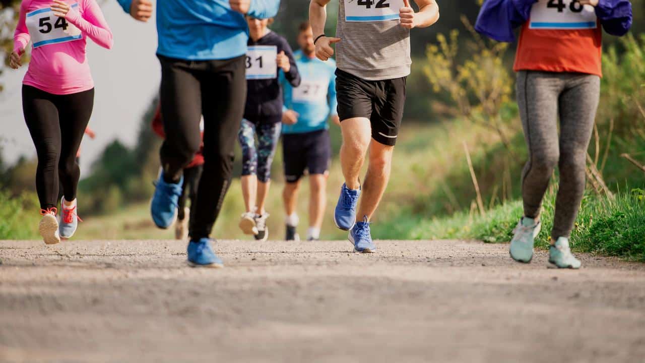 A group of runners participating in a race on a trail.