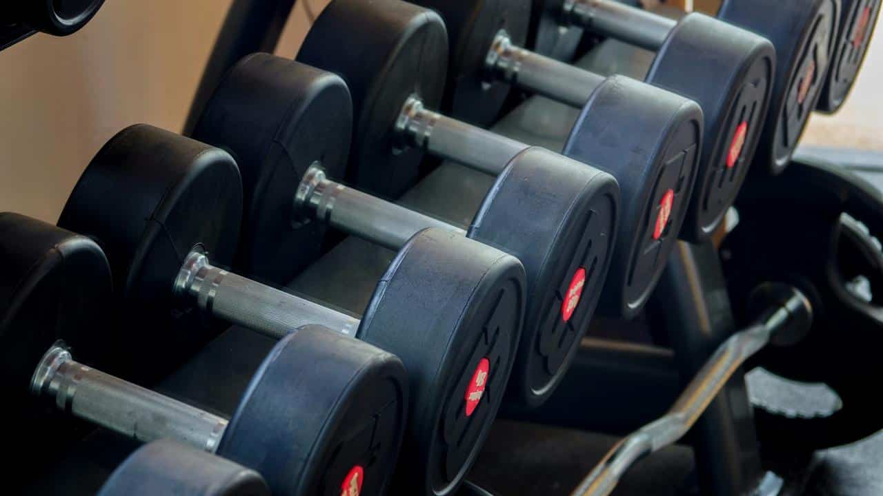 A row of black dumbbells on a rack.
