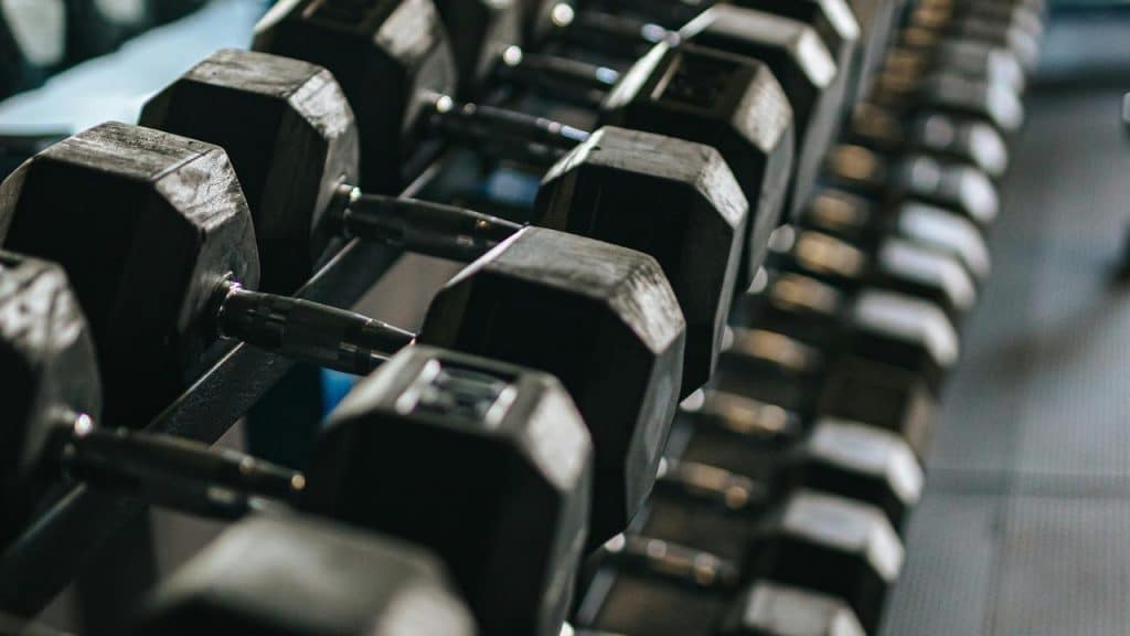 A close-up of dumbbells neatly arranged on a rack in a gym.