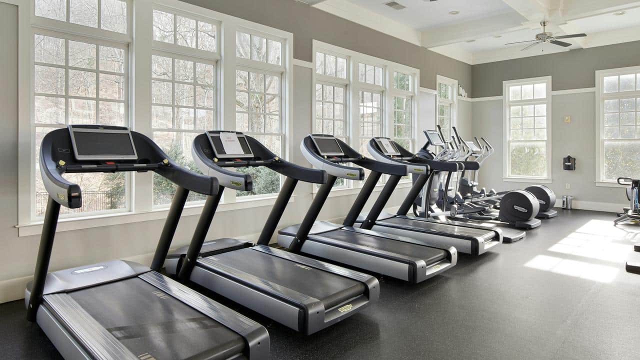 A gym with treadmills and elliptical machines by large windows.