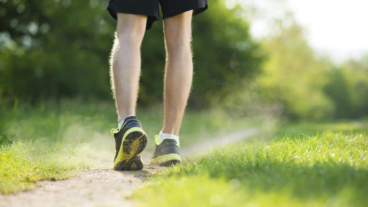 A person walking on a dirt path in nature.