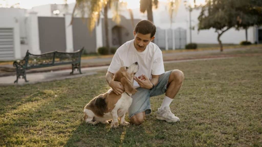 Man playing fetch with his dog at a park